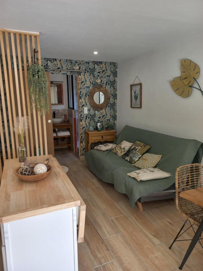 Le Clos Des Lauriers 卡尔卡松 外观 照片